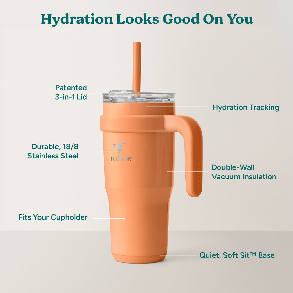 cold1-24-oz-v3 Cold1Mug_24oz_Papaya_Infographic_2.jpg