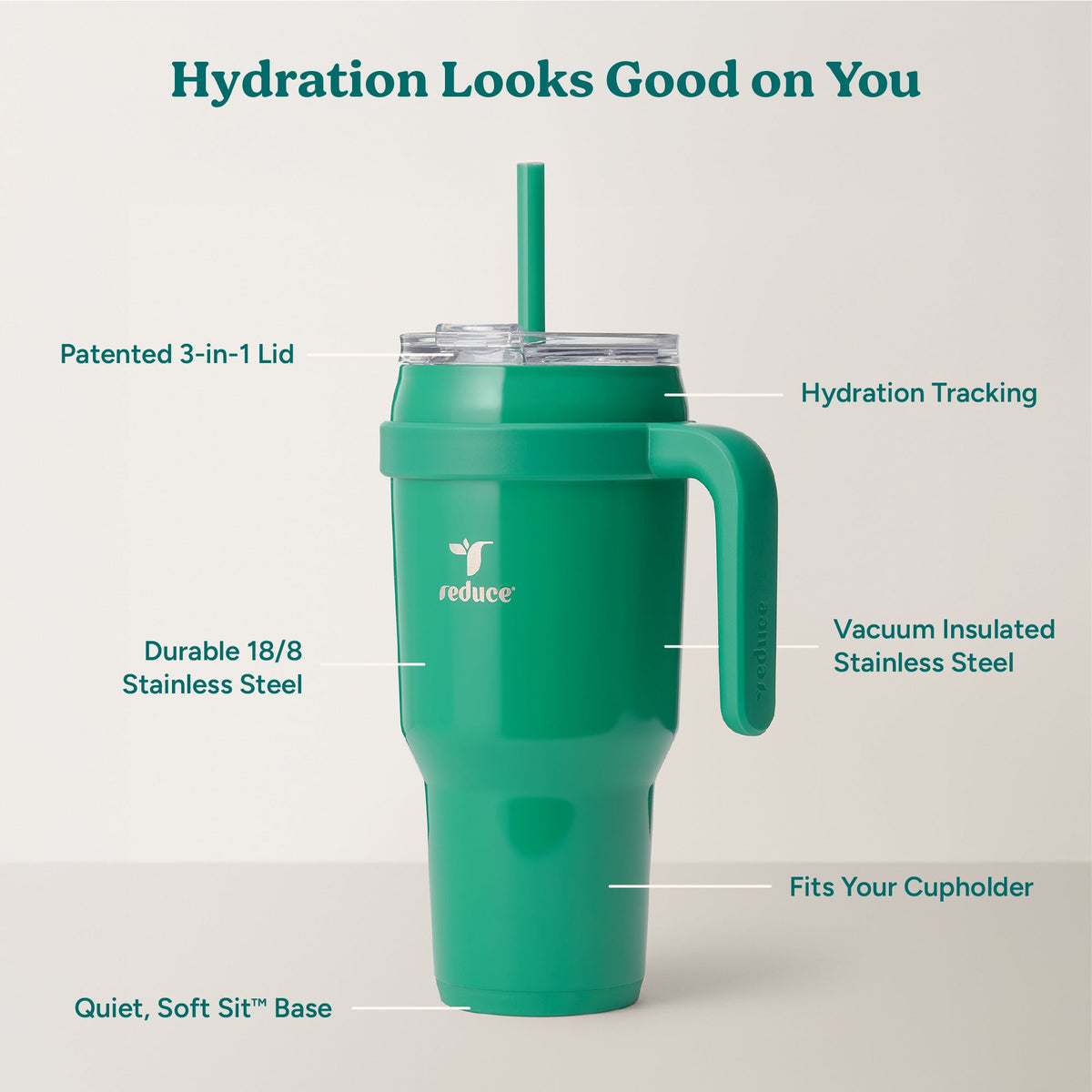 cold1-40-oz-e9 Cold1_40oz_PalmLeaf_Infographic_2.jpg