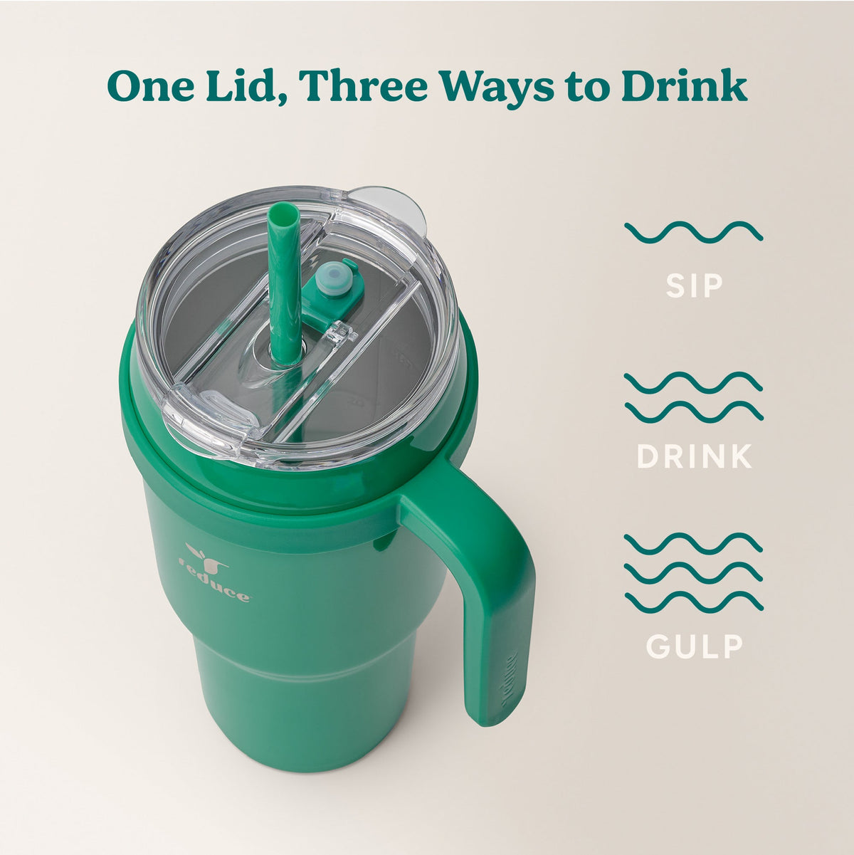cold1-40-oz-e9 Cold1_40oz_PalmLeaf_Infographic_3.jpg