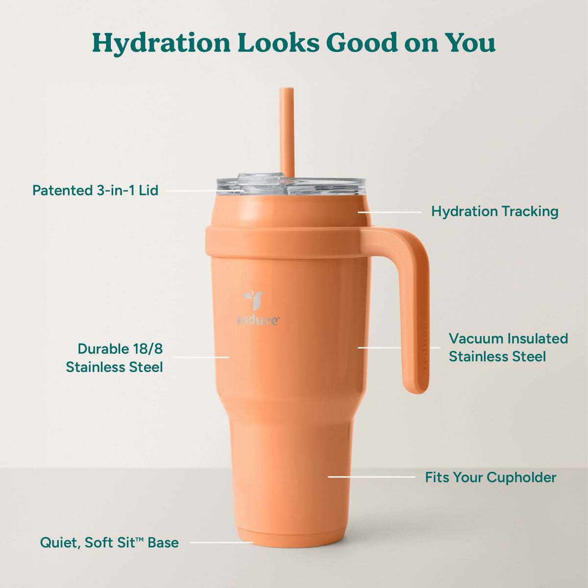 cold1-40-oz-e9 Cold1_40oz_Papaya_Infographic_2.jpg